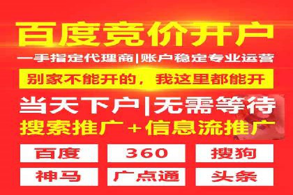 行业内的SEM竞价策略与效果对比案例
